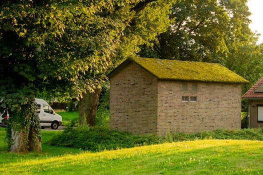 Landelijke storing KPN vandaag: dit kun je nu doen