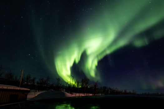 Noorderlicht Nederland 19 januari 2026 boven een donkere kustlocatie met sterrenhemel en groene gloed aan de horizon