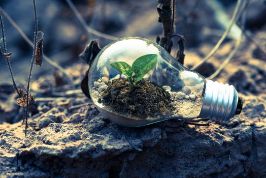 Groene duurzame achtertuin met minder tegels, regenton, bloeiende planten en ruimte voor biodiversiteit