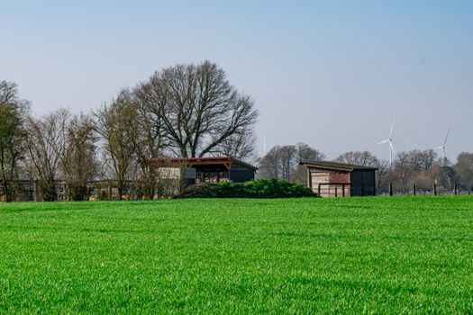 Smartphone zonder bereik op tafel tijdens landelijke storing Odido vandaag