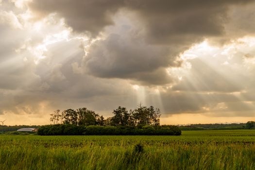 Het landelijke weer vandaag: overzicht per regio