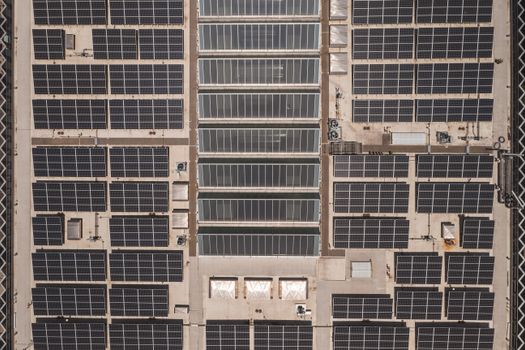 Huiseigenaar bekijkt zonnepanelen op het dak en controleert terugleverkosten in een energie-app